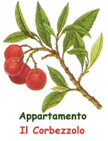 Appartamento Il Corbezzolo