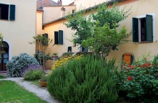 Corbezzolo - L'esterno