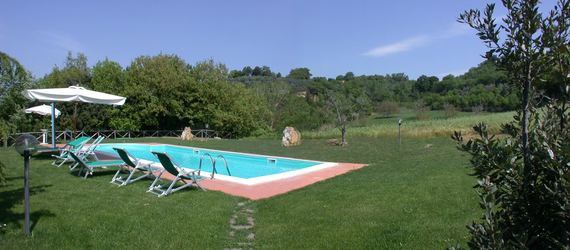 La piscina - The swimming pool