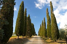 Le Traverse