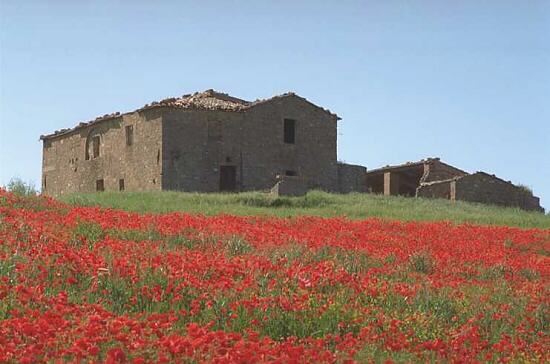 Podere Terrapille