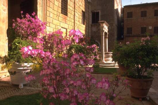 Pienza e i Fiori - Manifestazione